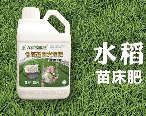 ABT益能肽·水稻苗床肥